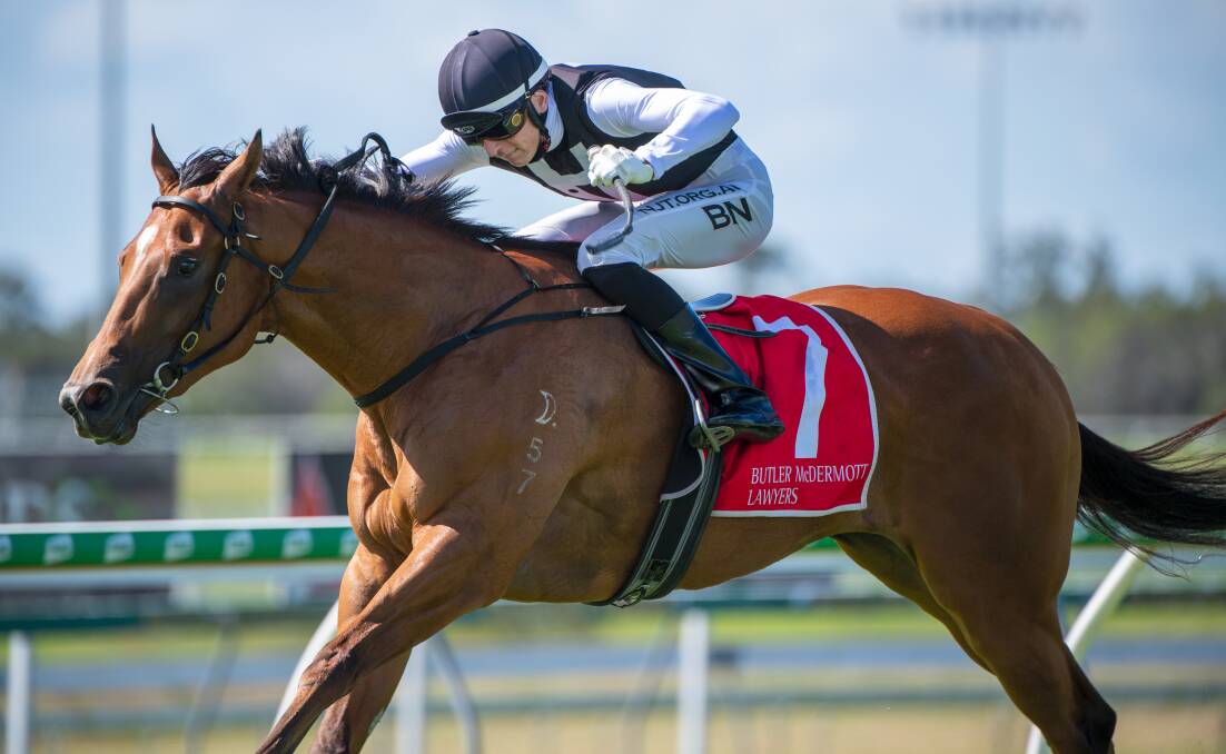 Daandine-bred 2YO filly Isotope wins at Sunshine Coast on April 25. Daandine recently bought Conducir - a half-sister to Isotope's dam - offered in foal to Daandine-bred Golden Slipper winner Capitalist. Picture: Racing Queensland
