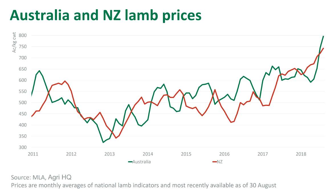 Market sustains lamb price