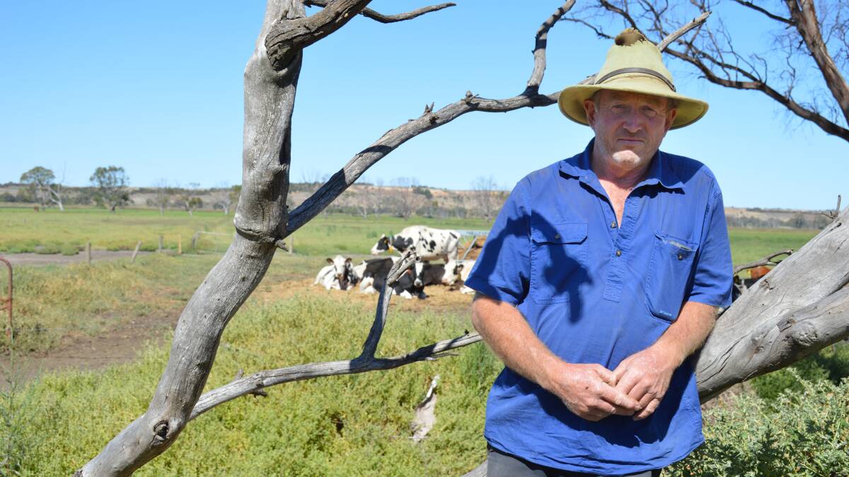 Dairyfarmer David Smart, Mypolonga, is about one kilometre from the River Murray and says the flats behind him were under three metres of water until about mid-May. He has only been able to use them again since September. Picture by Elizabeth Anderson 