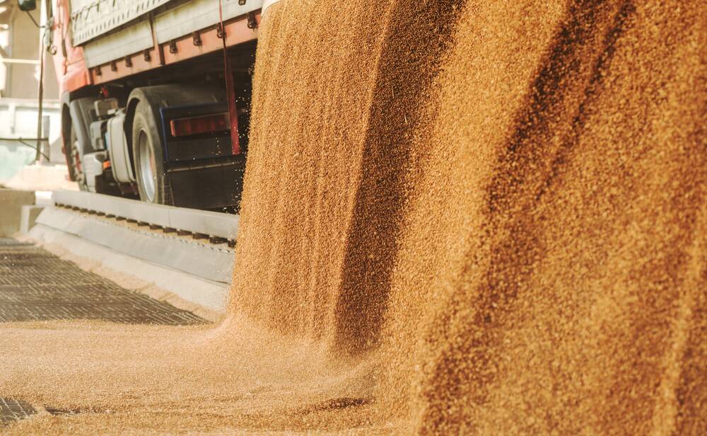 HELP WANTED: There are hundred of harvest seasonal jobs advertised on the website, across a number of grain handlers. Photo: SHUTTERSTOCK