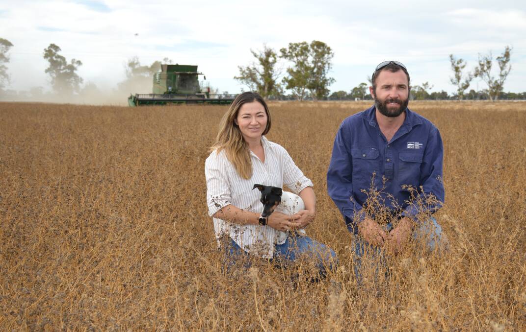STRONG PROSPECTS: Maddie Willoughby and Simon Allen, Keith, with Molly in a crop of dessicated lucerne, being harvested for seed.