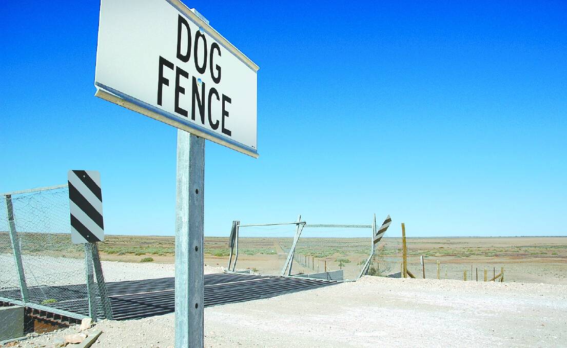A massive investment in a Dog Fence is potentially weakened by a new issue. File picture