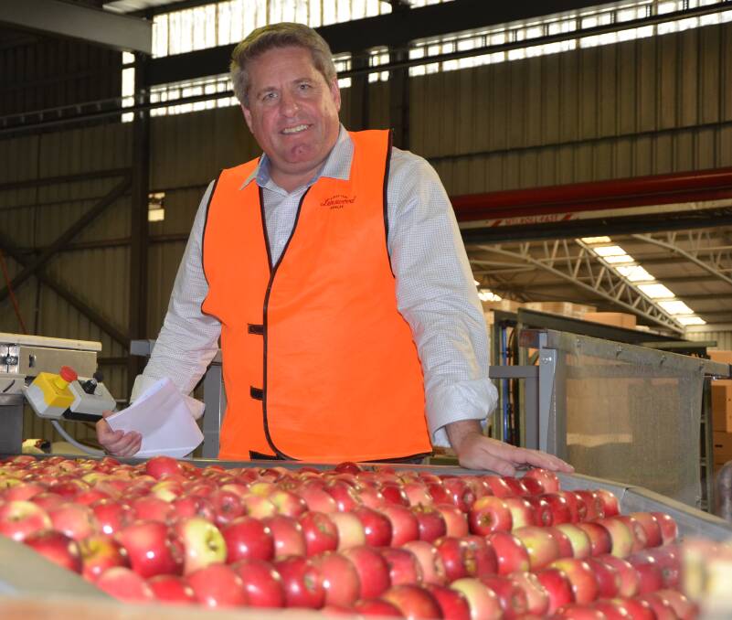 GROWING PAINS: Lenswood Co-operative CEO James Walters said apple growers in the Adelaide Hills have nearly reached the halfway point in a harvest that is slightly down on average yields.