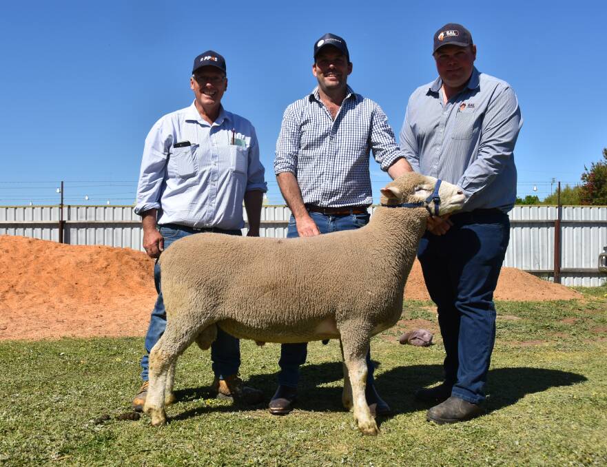 PPHS auctioneer Richard Harvie, Wrattenbullie stud's Brad Davies and SAL Livestock's Matt MacDonald with the $6700 sale topper which sold to the Kester family, Kybybolite. Picture by Catherine Miller 