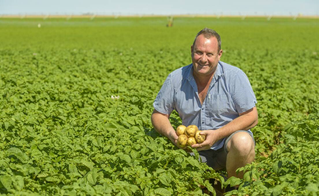 GROWING LEGACY: Award-winning potato grower Mark Pye began his business in a paddock at Parilla, and has since become one of the largest growers in Australia.