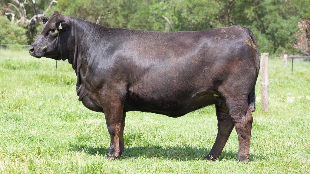 Lot 20, Woonallee Pear R264, sold at $20,000. Picture supplied