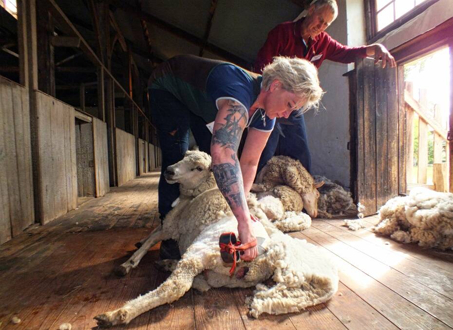 GET READY: Janine Midgley and Richie Foster are preparing to support mental health and suicide prevention with a shearathon at Glencoe Woolshed.