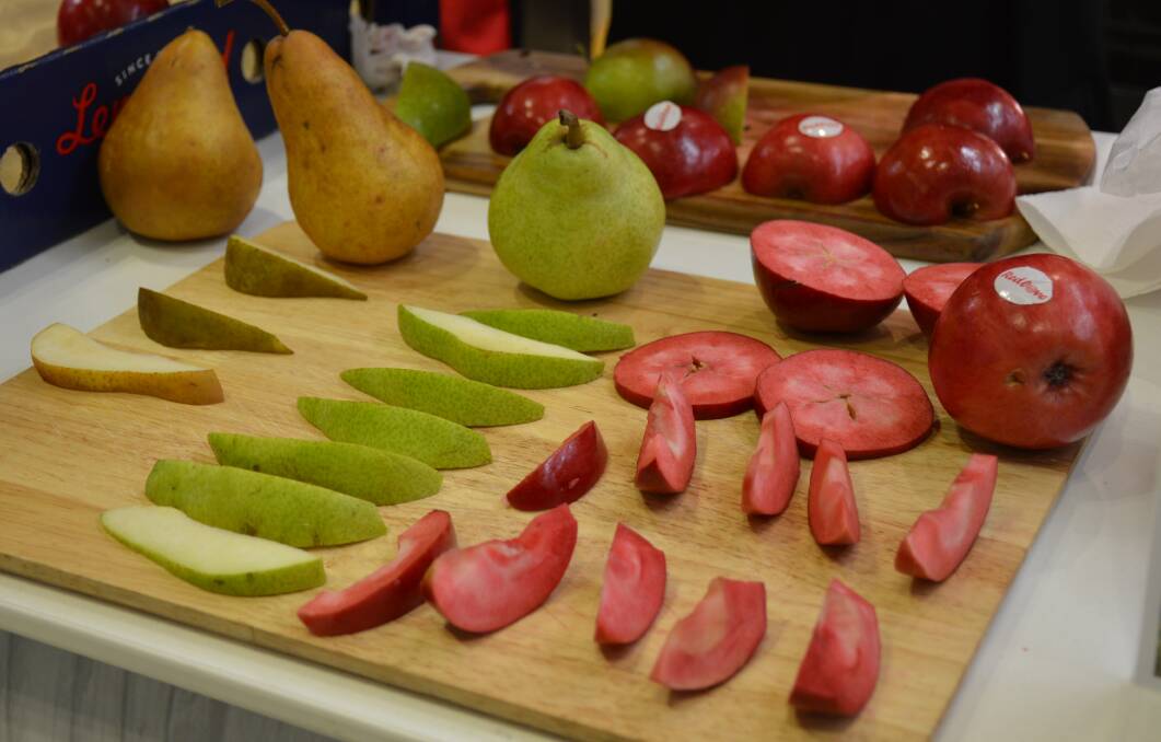 Apples and pears for tasting at Foodland Henley Beach, including the Red Love variety, which has captured plenty of attention in recent weeks. Picture by Elizabeth Anderson
