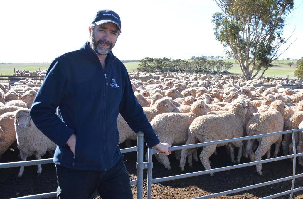 HEALTHY FLOCK: PIRSA animal health field team manager Chris Van Dissell said while there was not need for stigma surrounding foot rot, there should be increased awareness of how easily it can get into a flock.