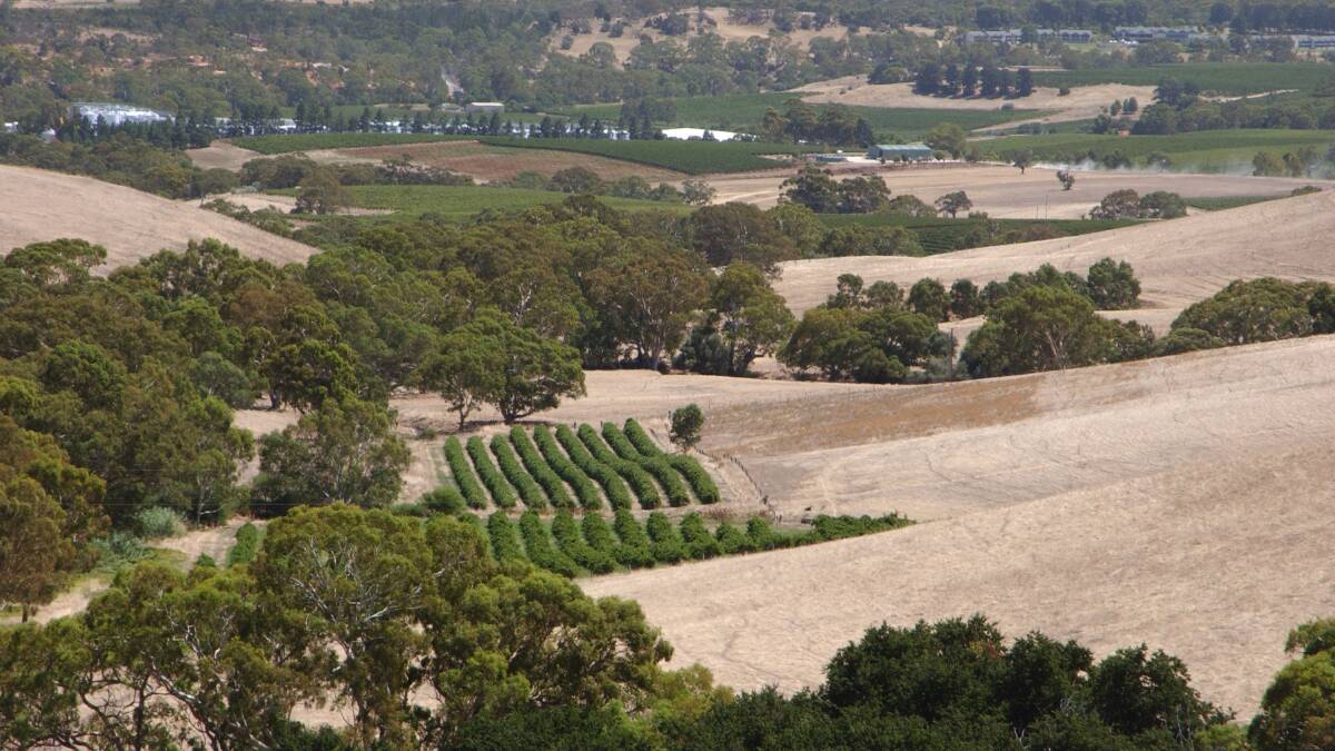 HIGH VIEW: The software launch follows on from trials in the Barossa Valley.
