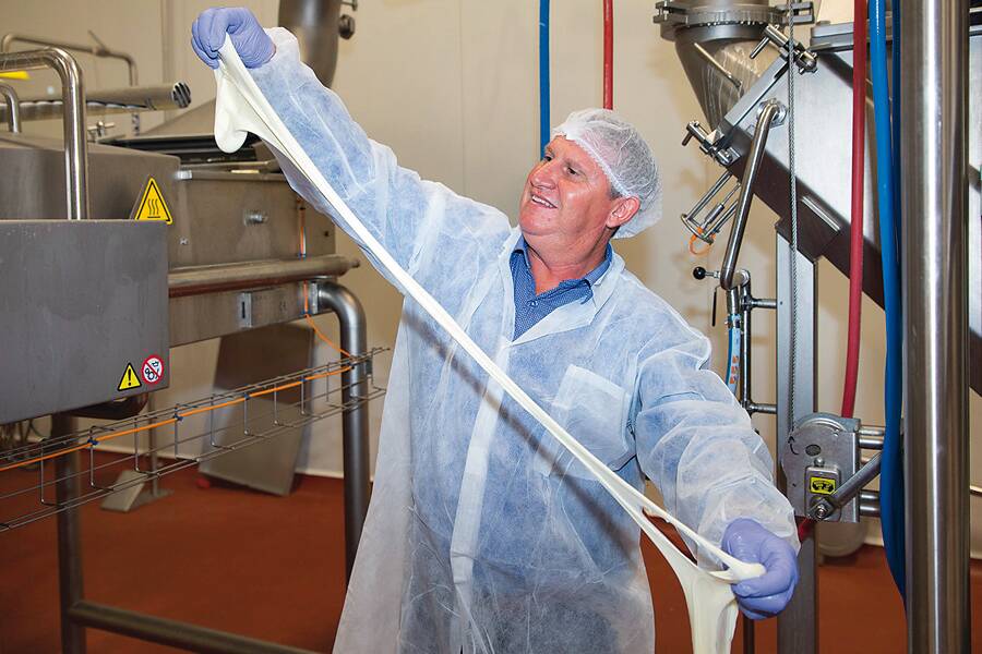 Beston Global Foods master cheesemaker Paul Connolly stretches mozzarella at the companys Jervois plant. 
