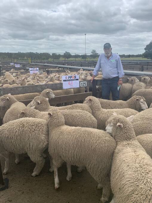 FRESH PRODUCT: PPHS' Robin Steen in a pen of 61-June-drop lambs from S&R Digiorgio & Sons..