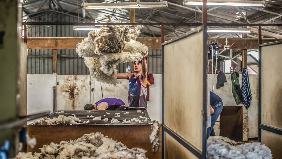 NEXT GEN: Shearing courses have performed well but there are some crucial gaps in other sections of agriculture training.