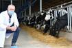 Aust dairy cattle find growing Chinese market