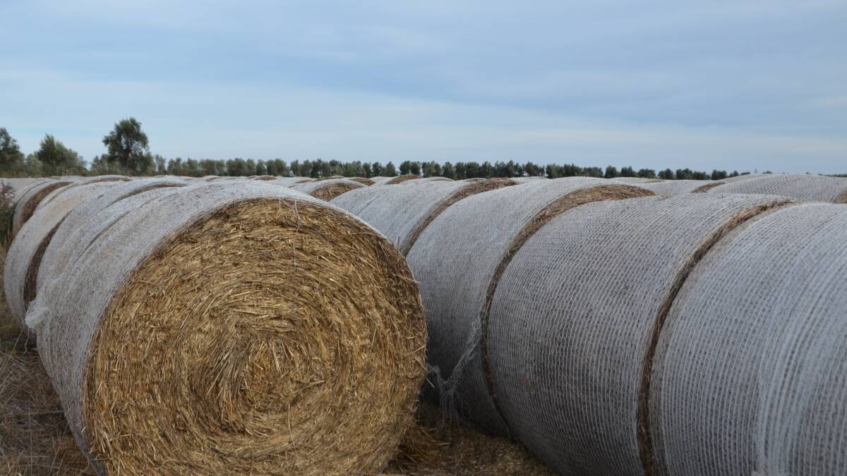 Hay prices at five-year high