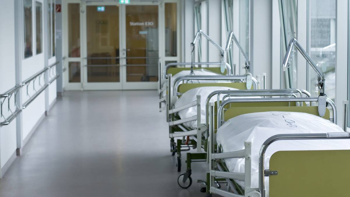 At least 10 people have been hospitalised with acute encephalitis within SA in the past month, with four cases confirmed as being Japanese encephalitis. Photo: SHUTTERSTOCK