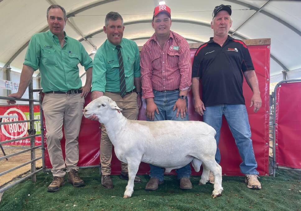 Nutrien studstock's Richard Miller and Andrew Wilson with Red Rock's Thomas Edson with top price ram buyer Neville Hoffrichter, Ceduna. Picture supplied