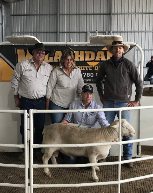 Melashdan's Gary and Janice Fiegert, Tumby Bay, with BR&C Agents' Darren Old and buyer Tim Luckraft, Orroroo, and the top price ram. Picture supplied