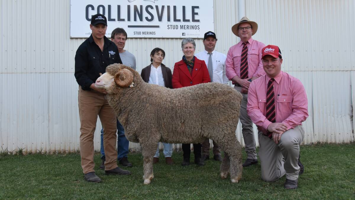 Collinsville general manager Tim Dalla holds the $70,000 sale topper, Collinsville Buddy 220032, with buyers Reg, Nita and Lynne Parker, Pingelly, WA, Collinsville's George Millington, Elders state general manager Bernard Seal and Elders stud stock's Alistair Keller. Picture by Catherine Miller