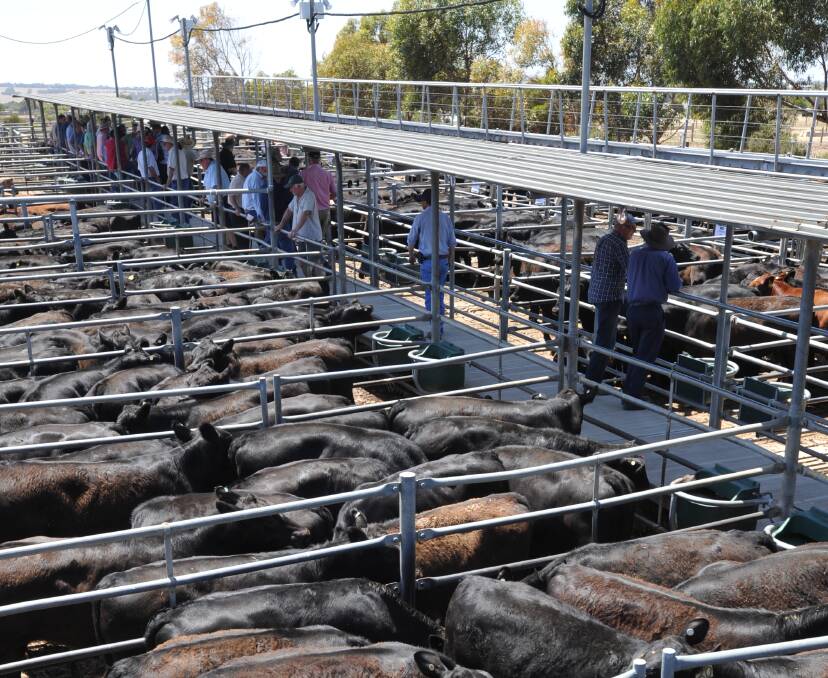 Saleyards value shines in study