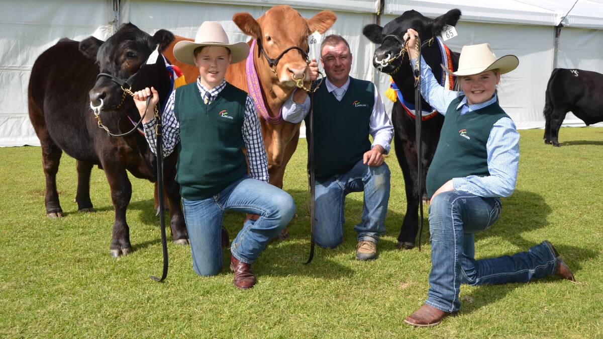 TRIUMPHANT TRIO: Thomas, Jono and Zanna Spence, Keith, with their trio of winning led steers on Sunday.