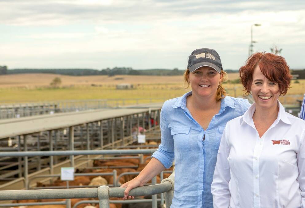 RETURNING MEMBER: Cattle Council SA director Amanda Giles and CEO Margo Andrae.