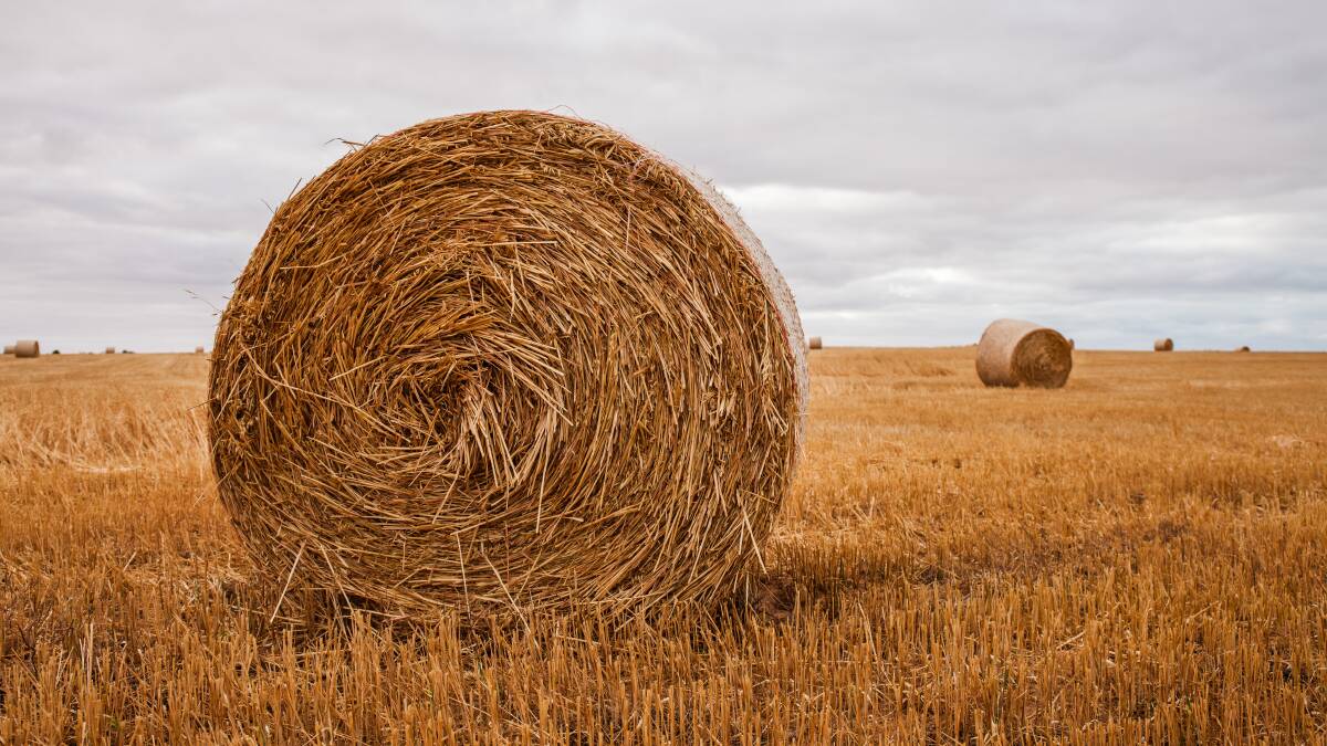 Hay demand slows as plans made to rebuild stocks