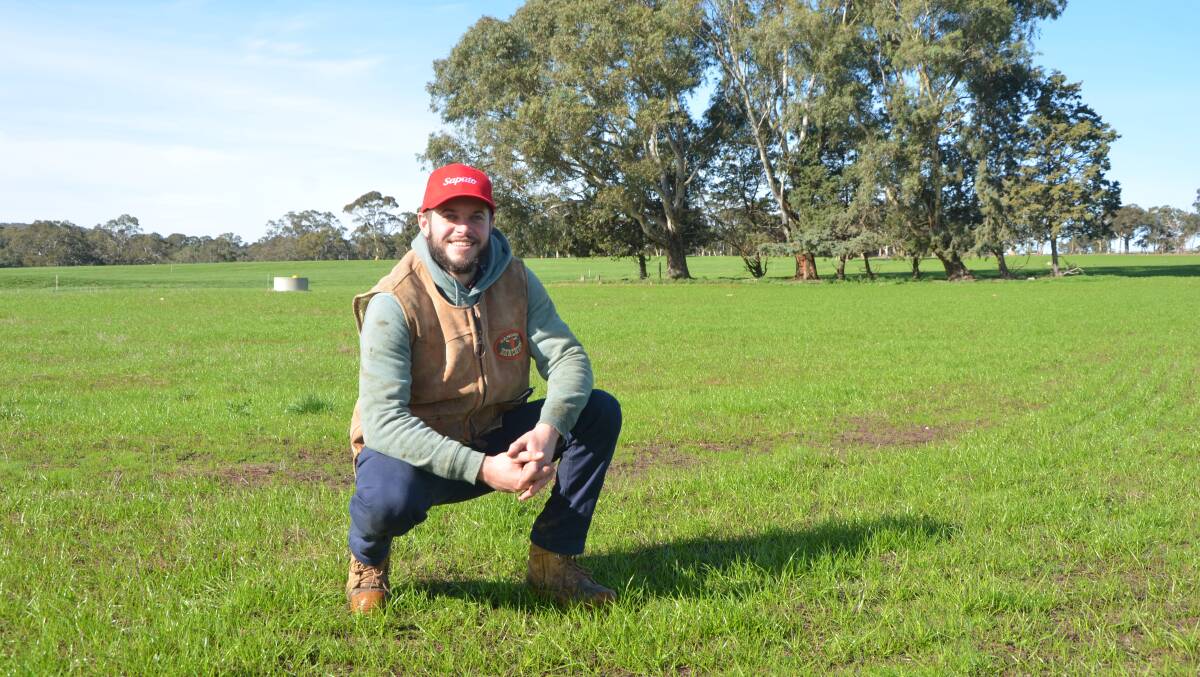 GREEN TINGE: Haydn Pocock, Echunga, in annual ryegrass variety Ascend. He says their feed has benefited from a structured approach.