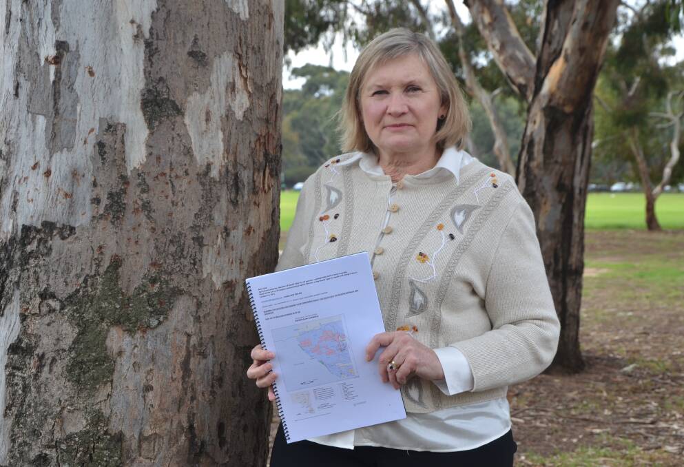 CAMPAIGNER: Anne Daw with a copy of the geological study she has conducted into the SE.