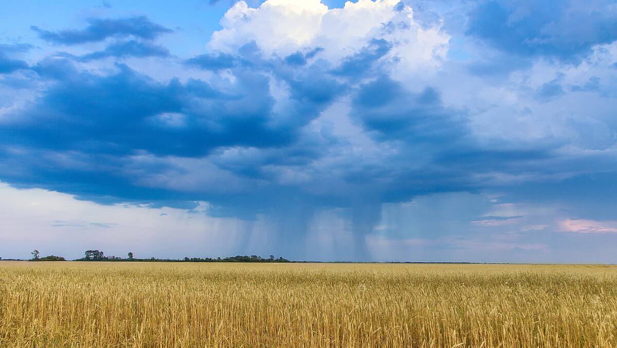 La Nina has bought rain already in November, with more expected in December. Photo: SHUTTERSTOCK