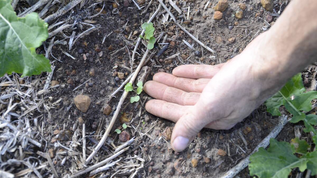 BOM offers insight into soil moisture, forecasts