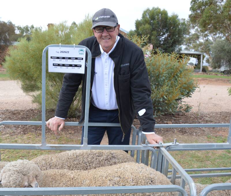 NEXT STEP: Mecardo's Robert Herrmann says there are positive signals coming through for sheep producers, despite global economic uncertainty.