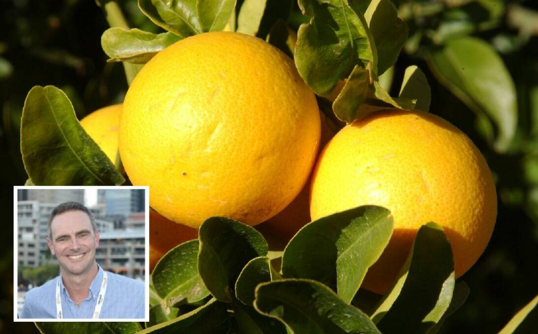 RISING EXPORTS: Citrus Australia president Ben Cant (inset) says growers are expecting to follow up a record export season with another bumper year.