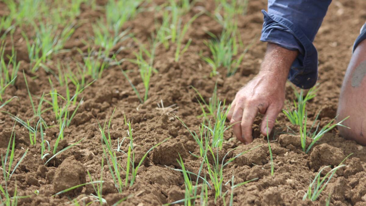 Nominations open to recognise soil health advocates