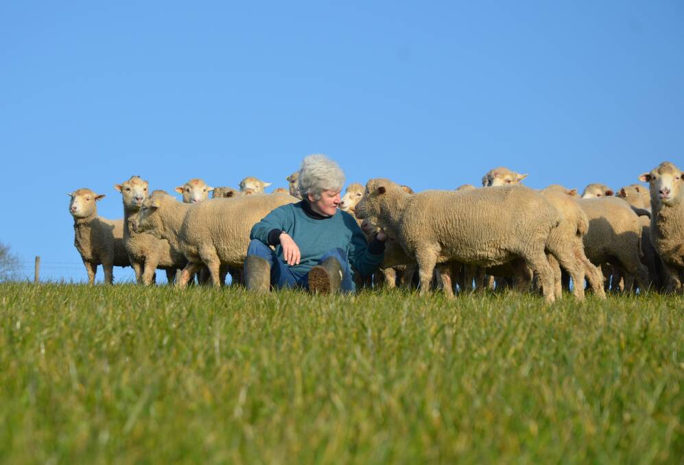 Lesley Prior, Devon, UK, with her Tallenby flock of superfine Merinos, using Australian genetics. Picture supplied