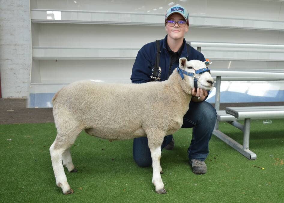 Alexis Weeding, studmaster of Clairveaux White Suffolks, with her assigned Texel at the SA Sheep Expo. Picture by Elizabeth Anderson