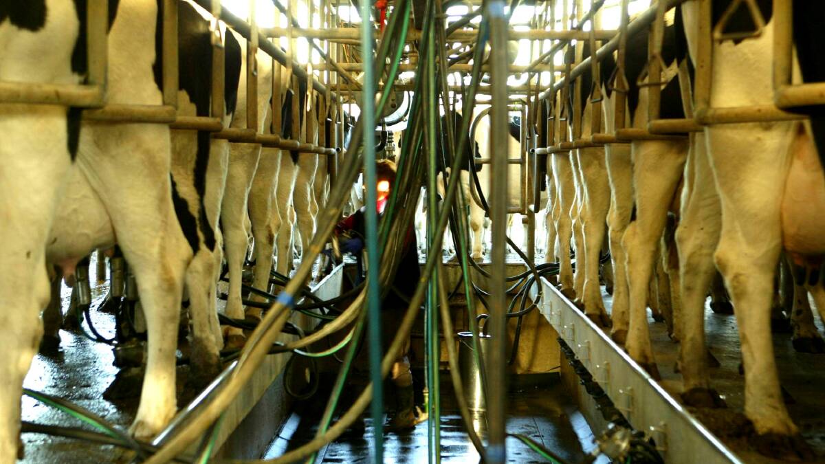 Dairy industry in search of skilled workers