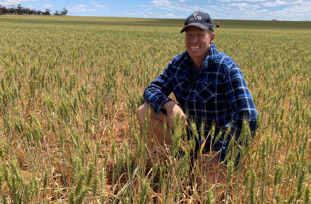 WINNING WHEAT: Clinton Scholz, Taplan, in his Browns Well crop competition-winning Scepter wheat in October. The crop was estimated to yield 1.43t/ha.