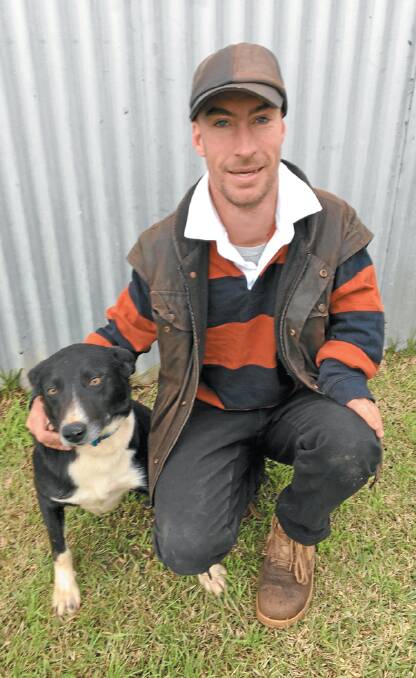 TRAINER TEAM: Peter Barr with his Border Collie Breakit.