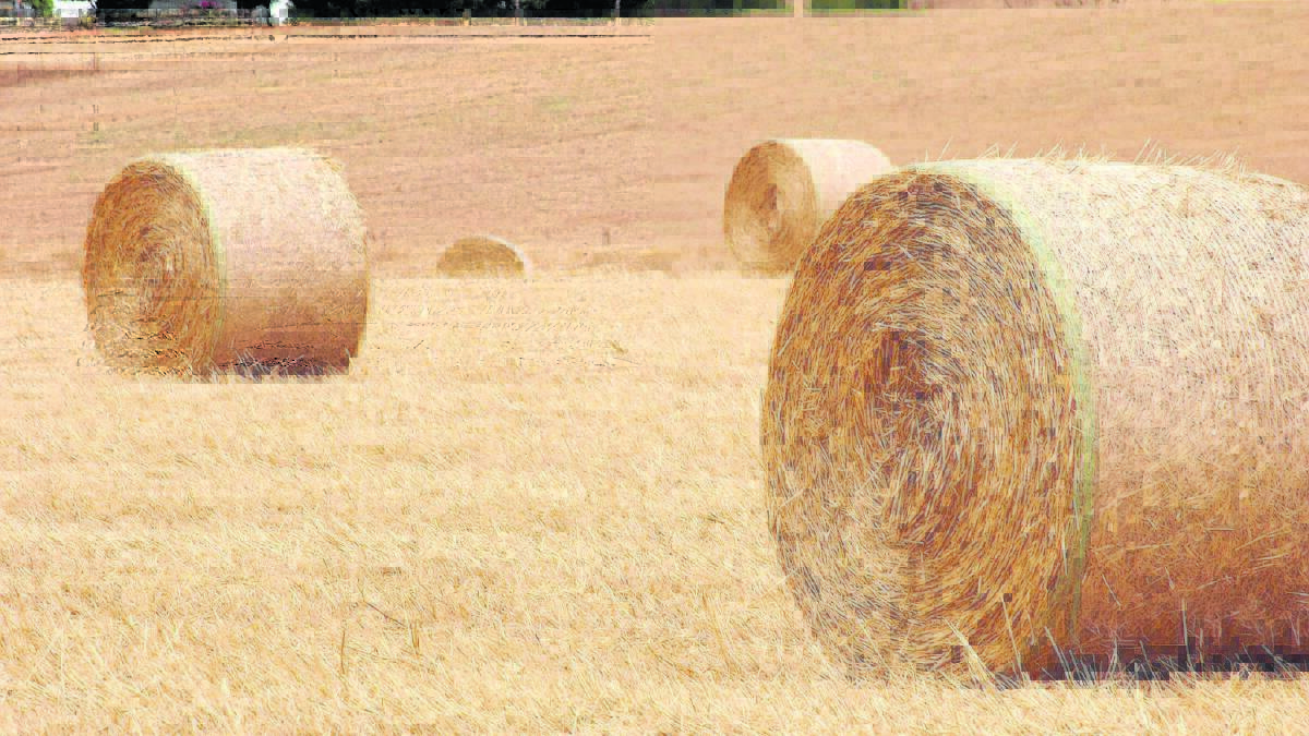 Are hay resources in danger?