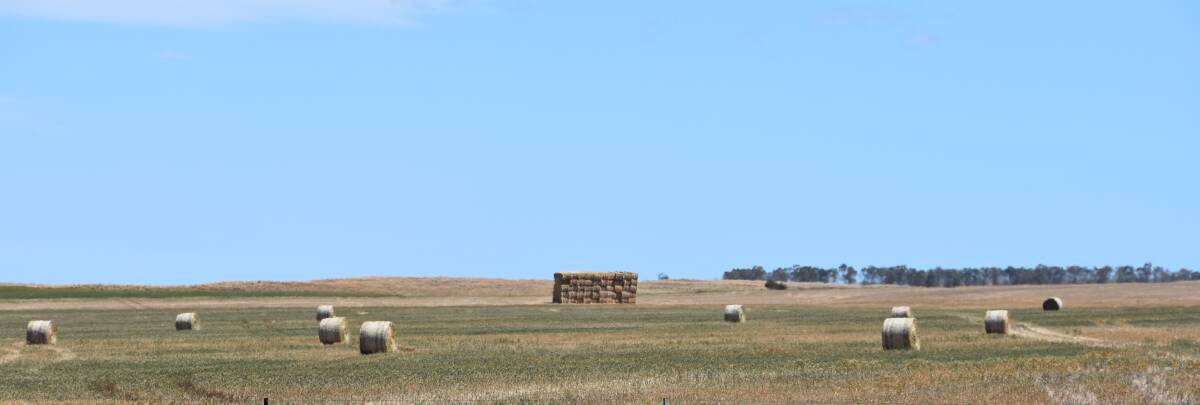 FODDER FUN: SA farmers in need are being encouraged to register for Buy a Bale.
