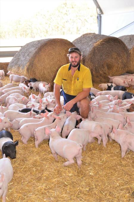 INDUSTRY BOOST: Keyneton pork producer Shaun Blenkiron is hopeful global price rises for pork will be passed onto SA producers. 