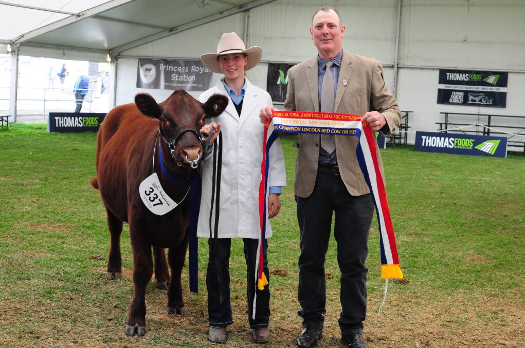 The junior champion Lincoln Red heifer, held by Rachel Palk, Eden Valley, and sashed by judge Scott McKay.