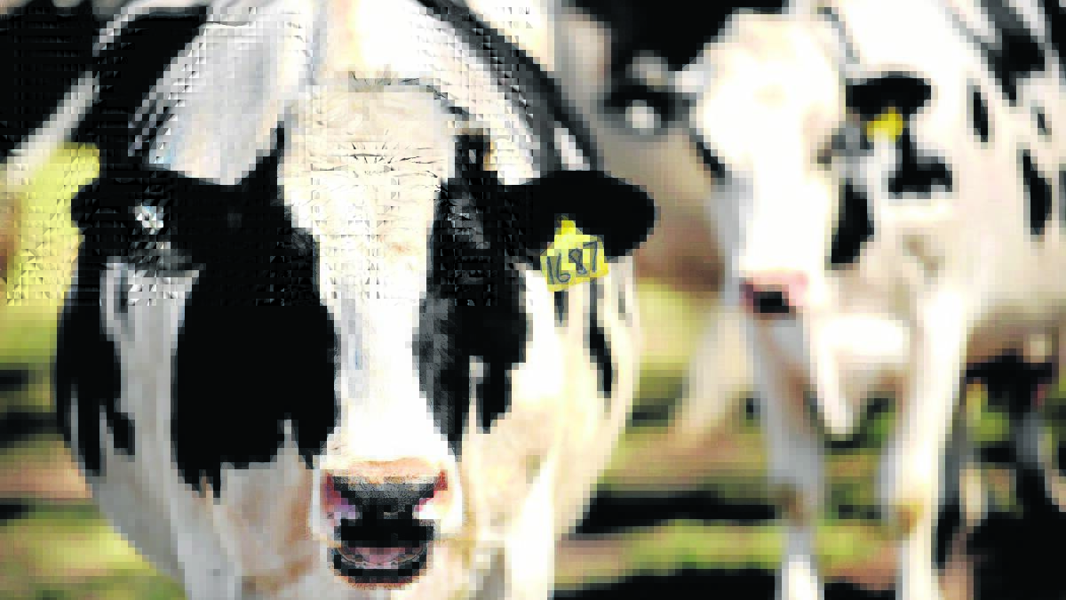 Opportunities central for dairy conference