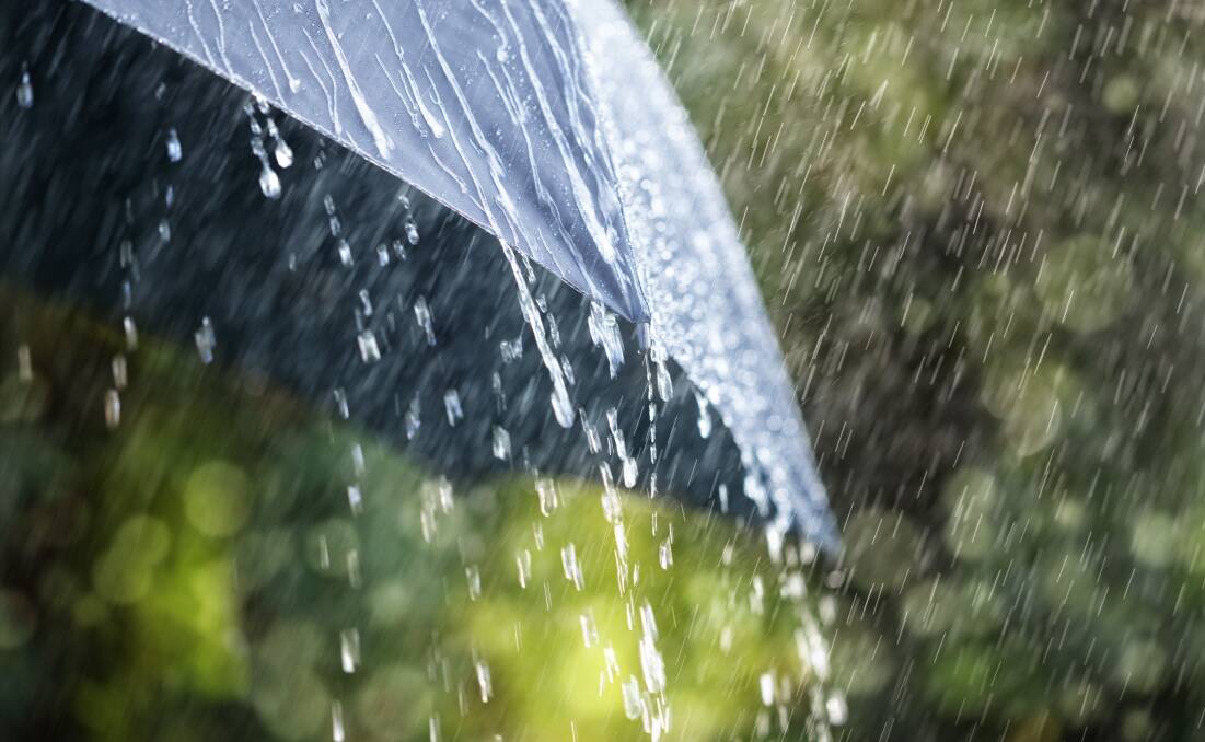 Rainfall totals of 10-30mm are predicted for most of the state with larger falls forecast with thunderstorms in the pastoral regions. Photo: SHUTTERSTOCK