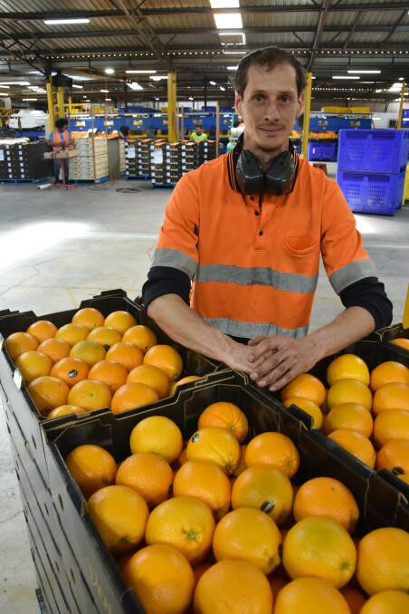 HARD WORK: Venus Fruit's Unitech supervisor Harrison Walkowiak at work in the Riverland, where employers are crying out for labour.