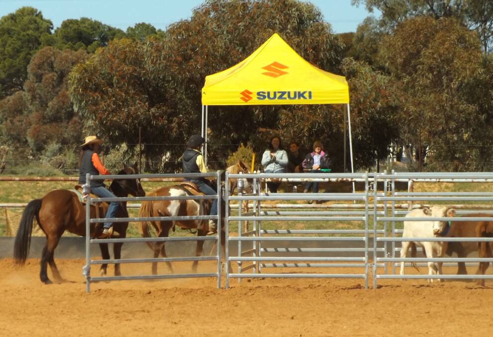 GOOD CAUSE: Competitors in the team penning at the 2016 event, which raised $12,000 for ovarian cancer charities.