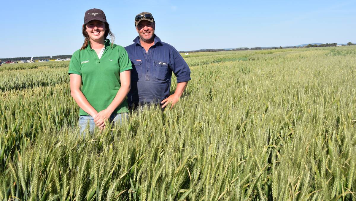 LUCKY RESULT: Landmark Millicent agronomist Emily Gilbertson and Conmurra grower Richie Kirkland in a trial plot of Accroc wheat outside Millicent.
