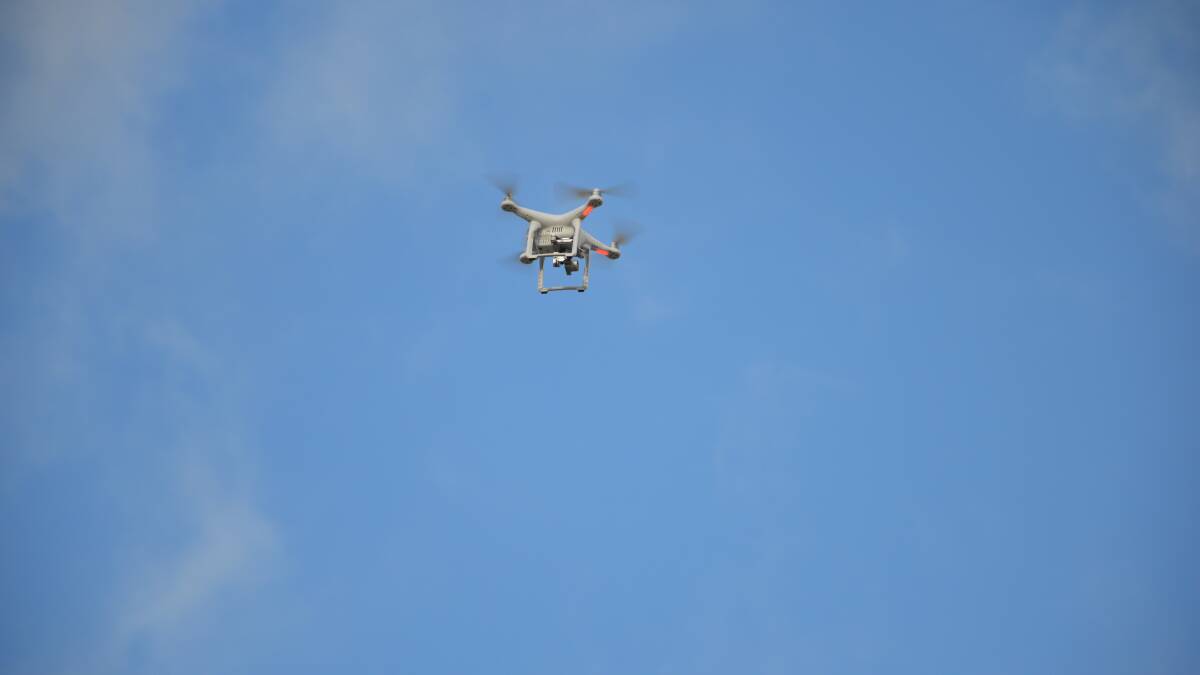 EYE IN SKY: Drones with specific cameras could help monitor outbreaks of vineyard pest phylloxera.