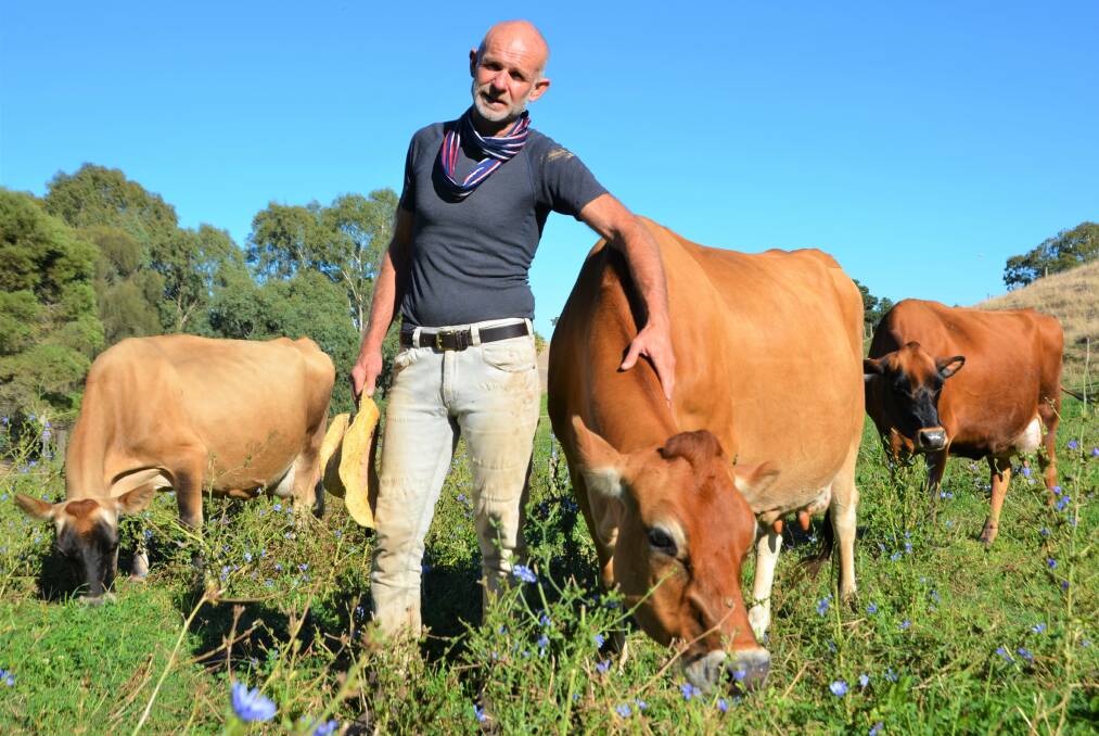 HOT STOP: Dairy Destination accommodation provider and dairyfarmer Michael Wohlstadt says it is great to give tourists a chance to connect with their food production. 